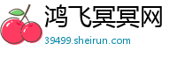 鸿飞冥冥网